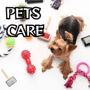 Pets Care